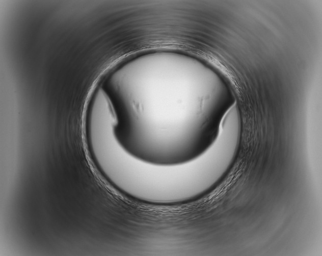 X0000096181088200802081454