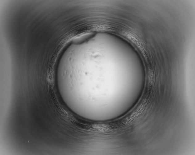 X0000096181089200802081454