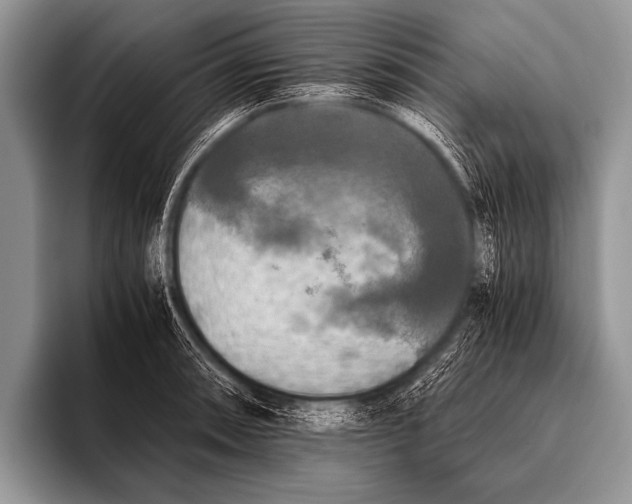 X0000096181090200802081454