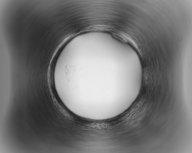 X0000096181091200802081454