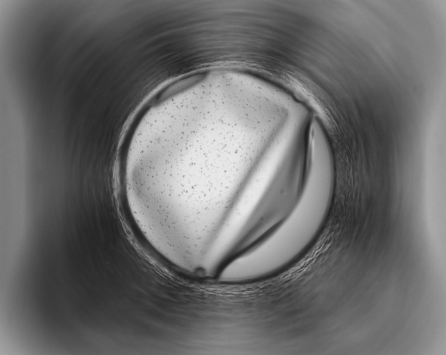 X0000096181092200802081454