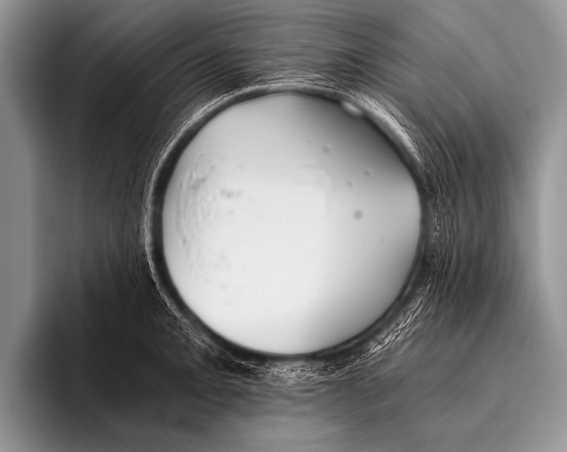 X0000096181093200802081454