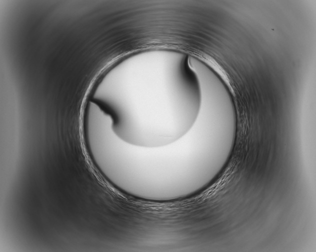 X0000096181096200802081454