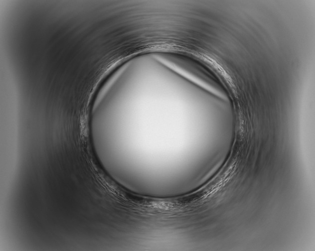 X0000096181097200802081454