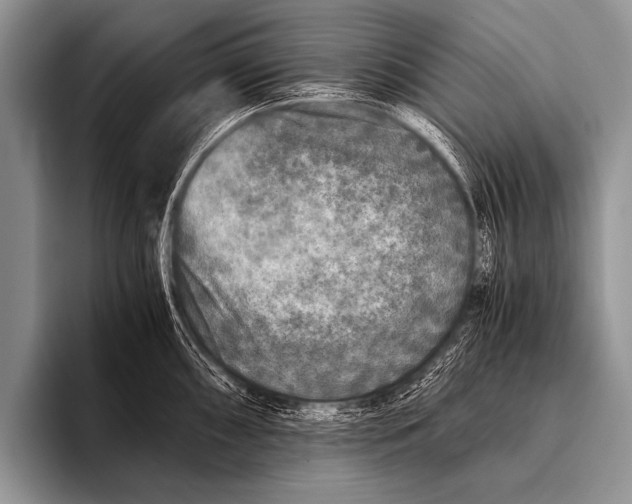 X0000096181098200802081454