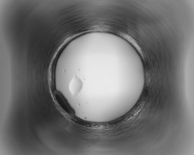 X0000096181099200802081454