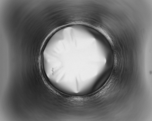 X0000096181100200802081454