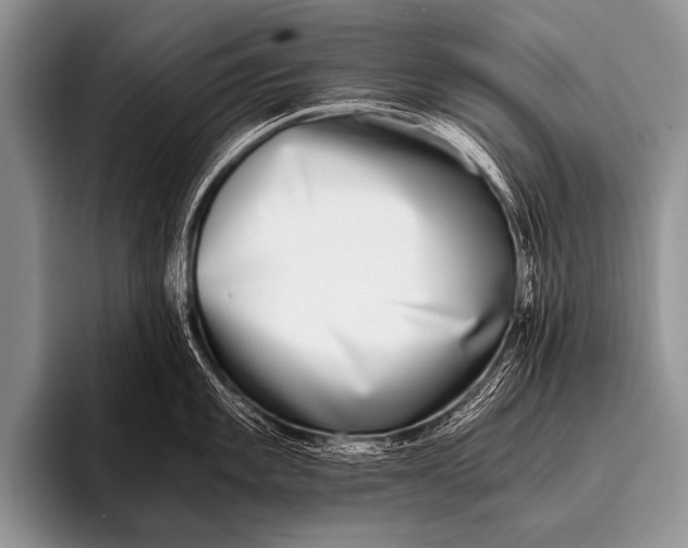 X0000096181101200802081454