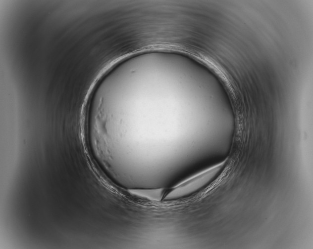 X0000096181102200802081454