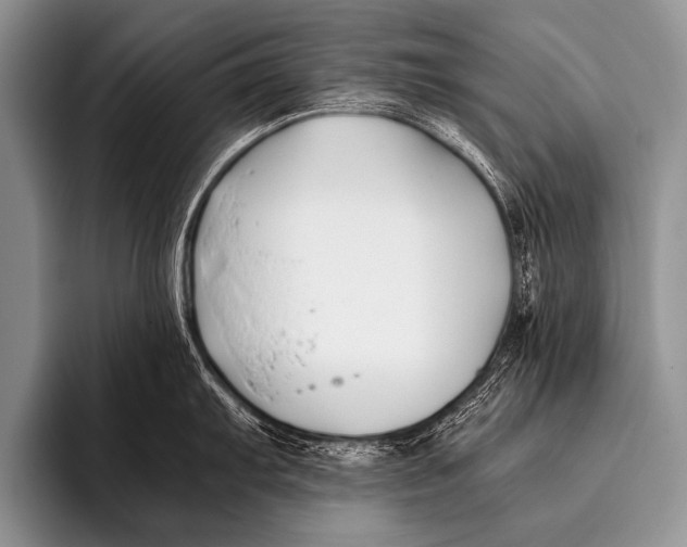 X0000096181103200802081454