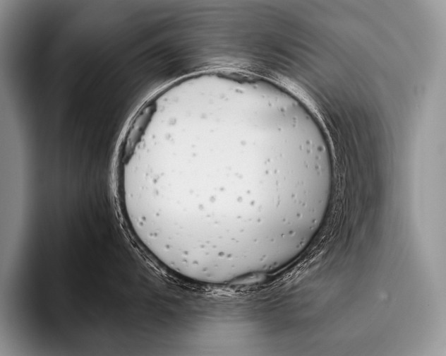 X0000096181104200802081454