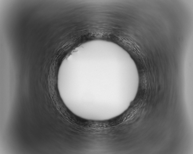 X0000096181105200802081454