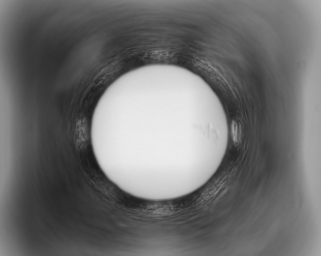 X0000096181107200802081454