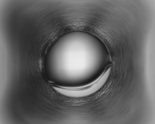 X0000096181108200802081454