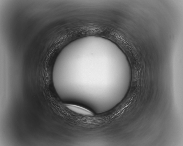 X0000096181109200802081454