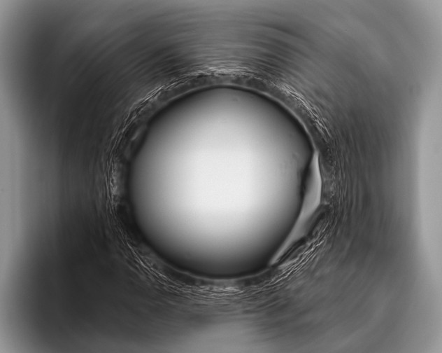 X0000096181110200802081454