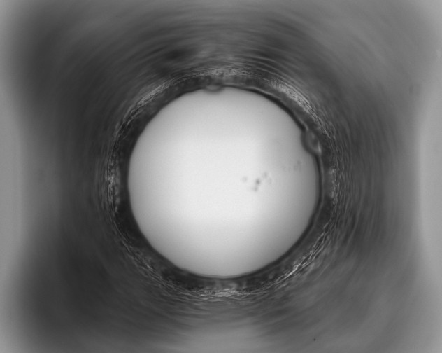 X0000096181111200802081454