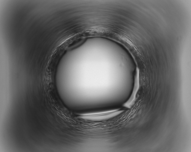 X0000096181112200802081454
