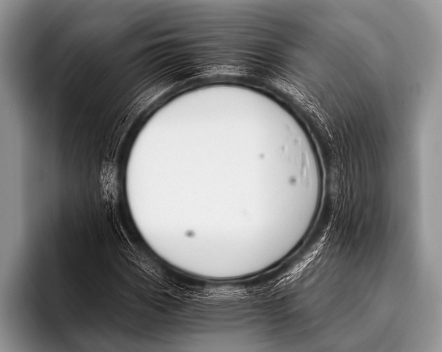 X0000096181113200802081454