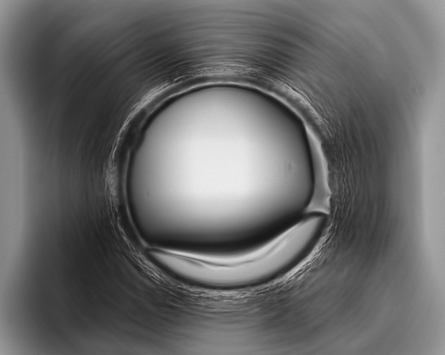 X0000096181114200802081454