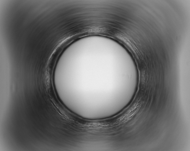 X0000096181115200802081454