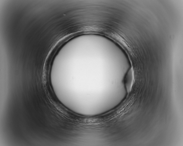 X0000096181116200802081454