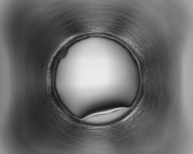 X0000096181118200802081454
