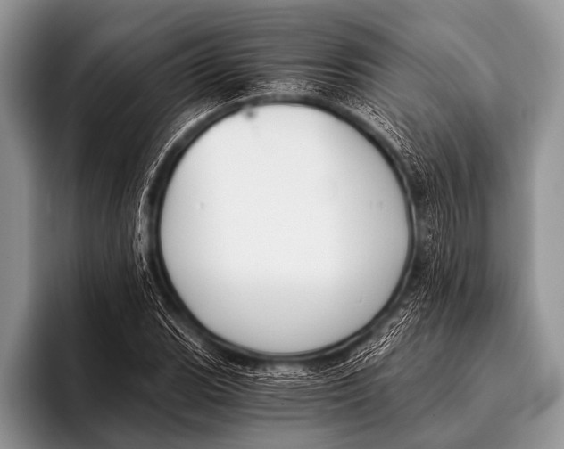 X0000096181119200802081454
