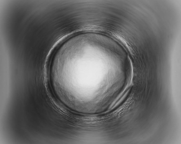 X0000096181120200802081454