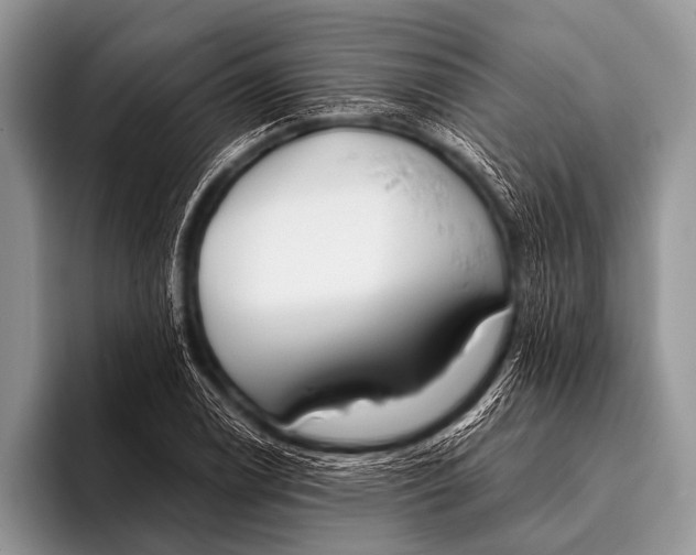 X0000096181122200802081454