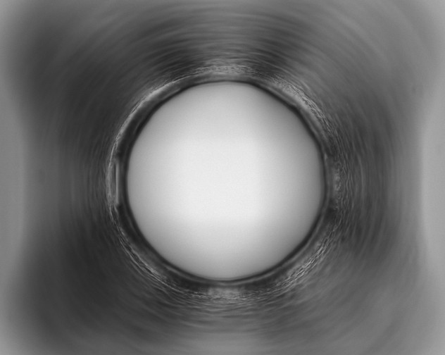X0000096181123200802081454