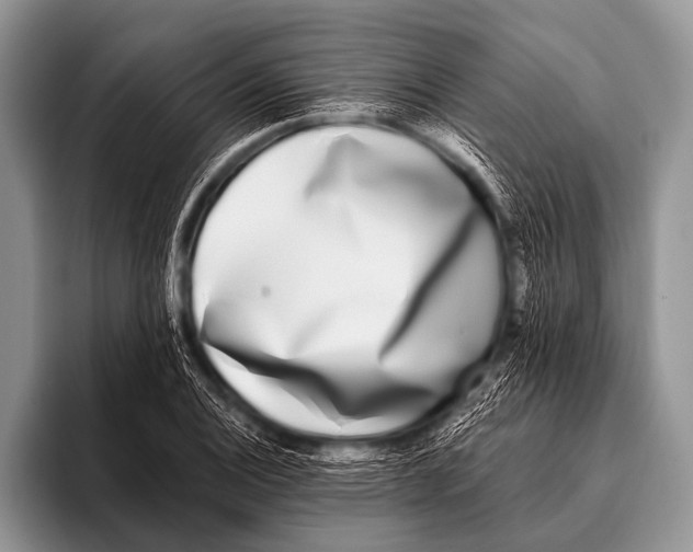 X0000096181124200802081454