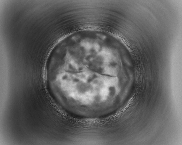 X0000096181125200802081454