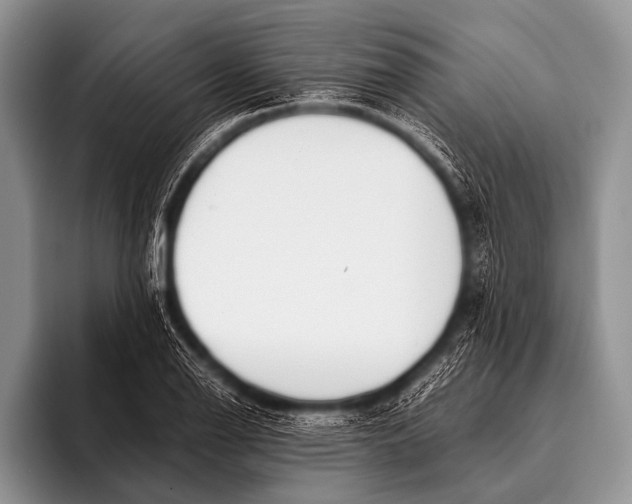 X0000096181126200802081454