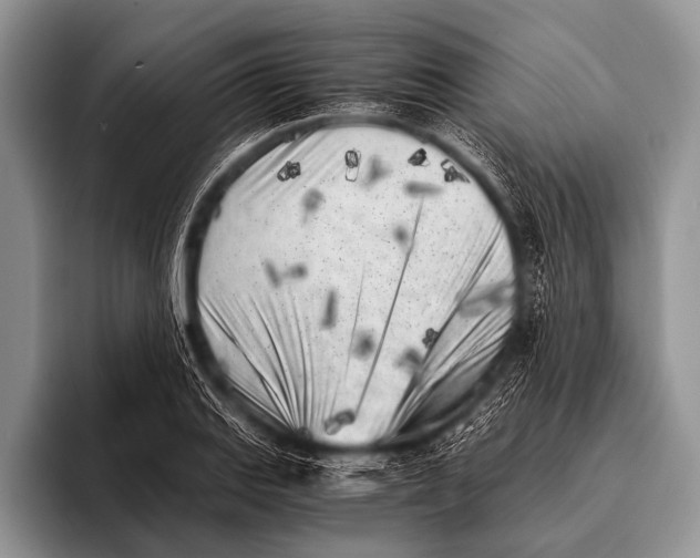 X0000096181127200802081454