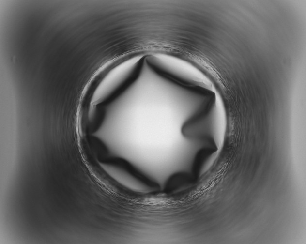 X0000096181128200802081454