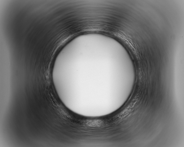 X0000096181129200802081454