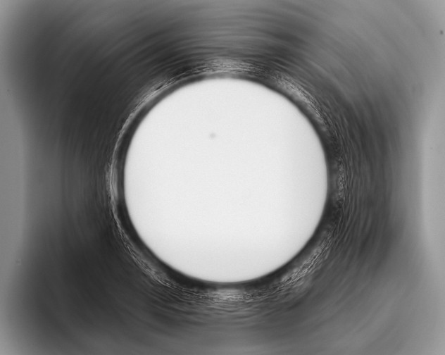 X0000096181130200802081454