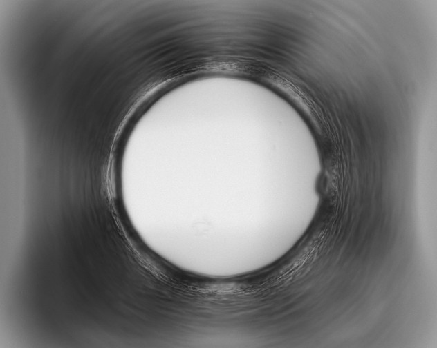 X0000096181131200802081454