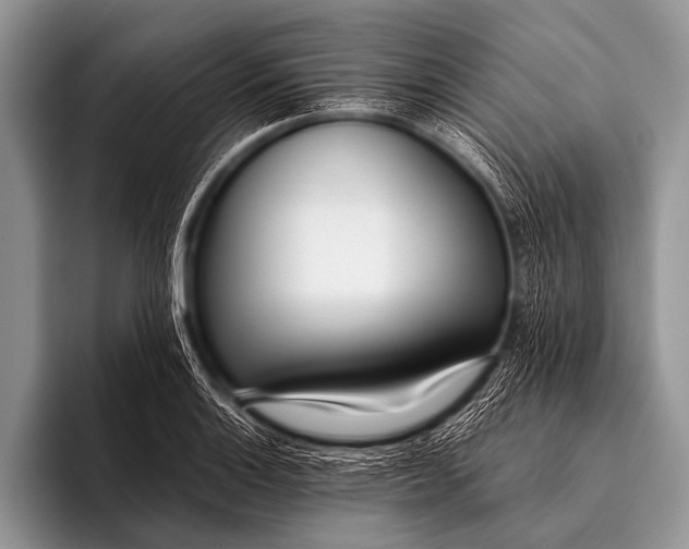X0000096181132200802081454