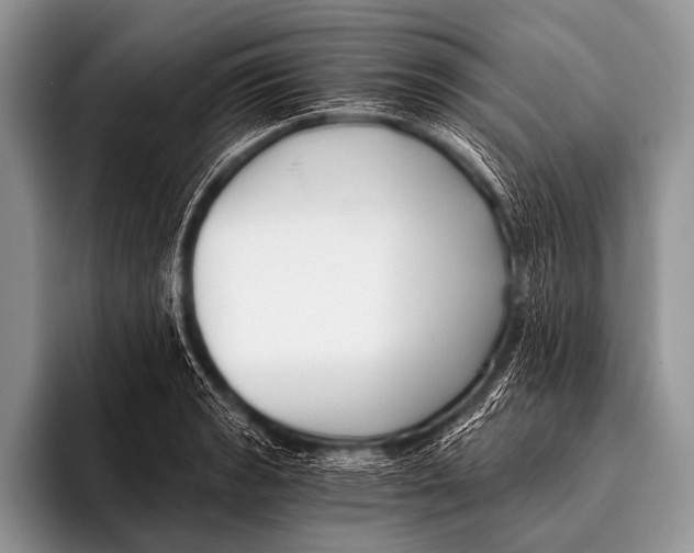 X0000096181133200802081454