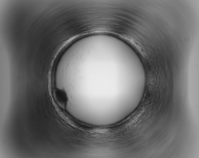 X0000096181134200802081454