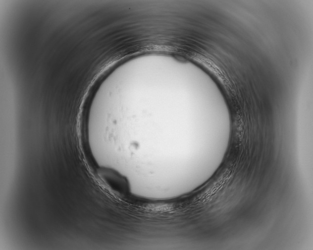 X0000096181135200802081454