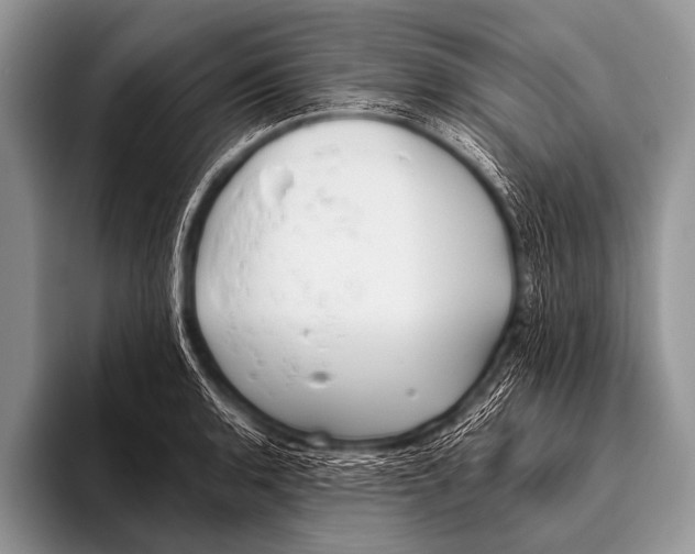 X0000096181136200802081454