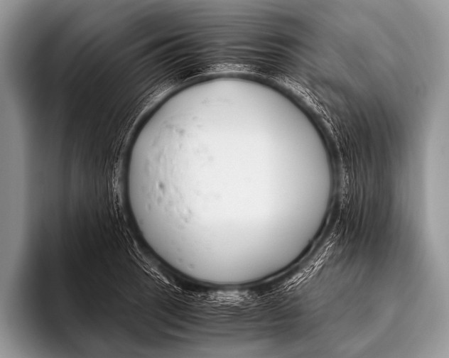 X0000096181137200802081454