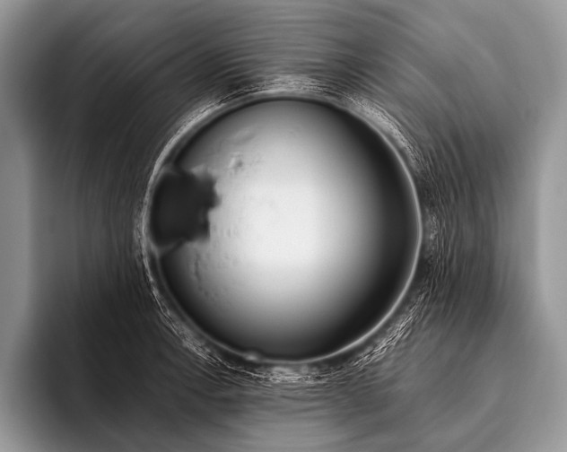 X0000096181138200802081454