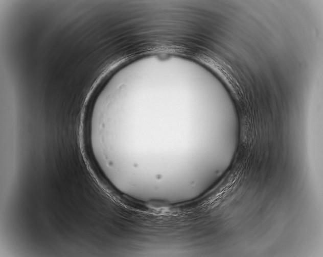 X0000096181139200802081454