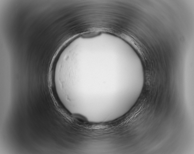 X0000096181140200802081454