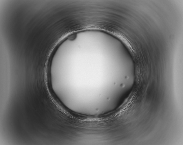 X0000096181142200802081454