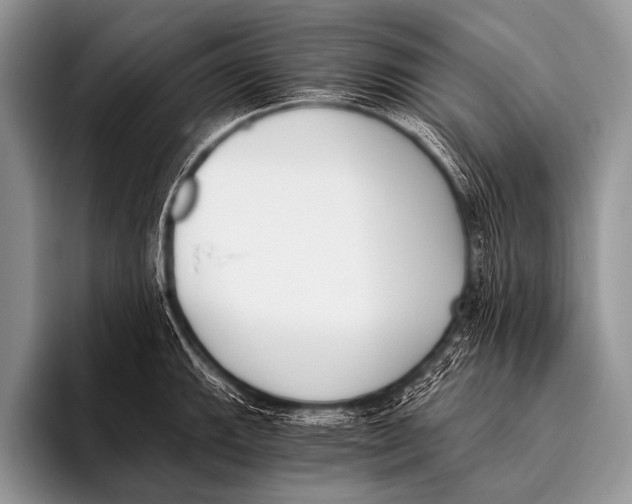 X0000096181143200802081454